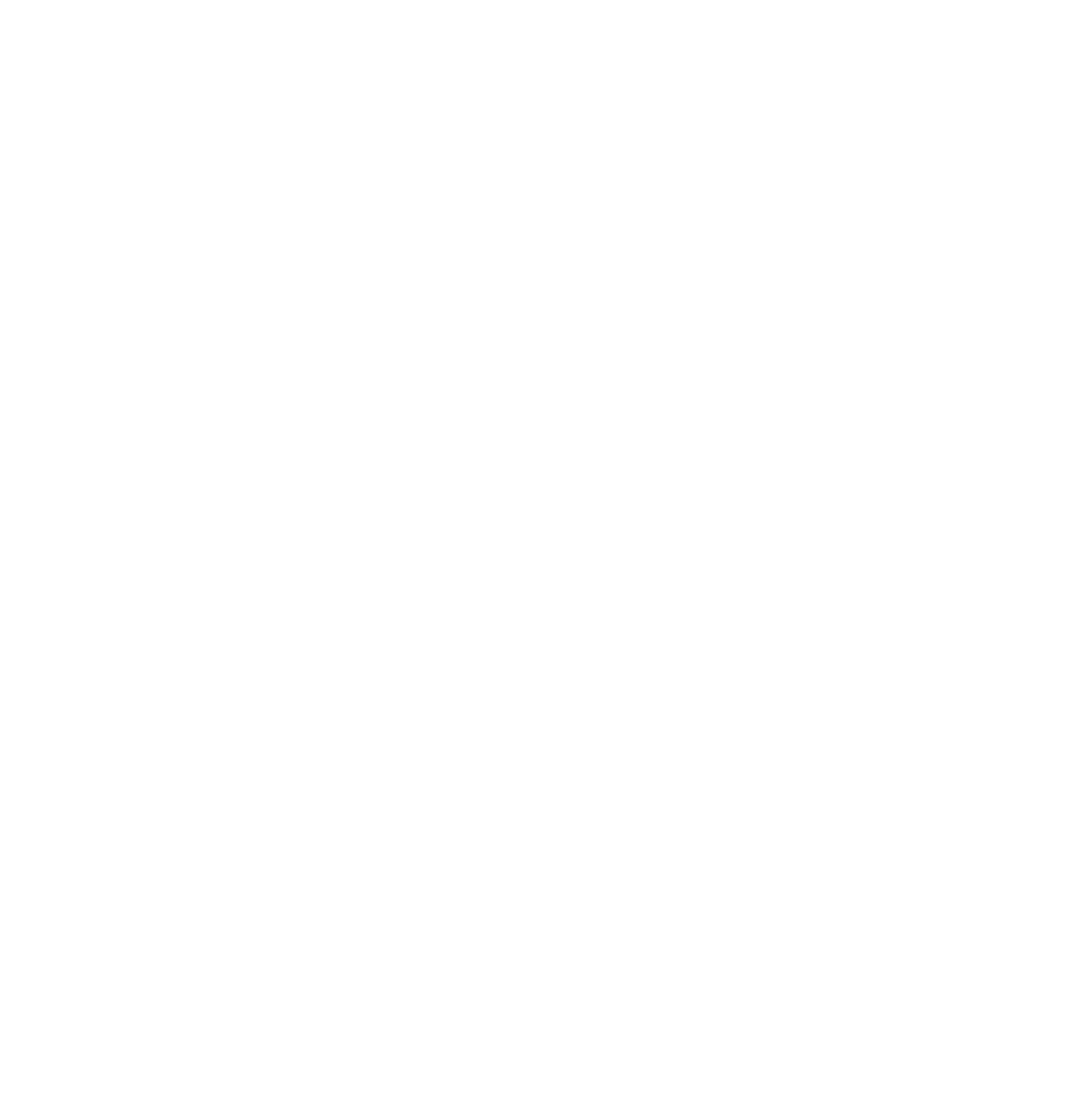 DP System Logo